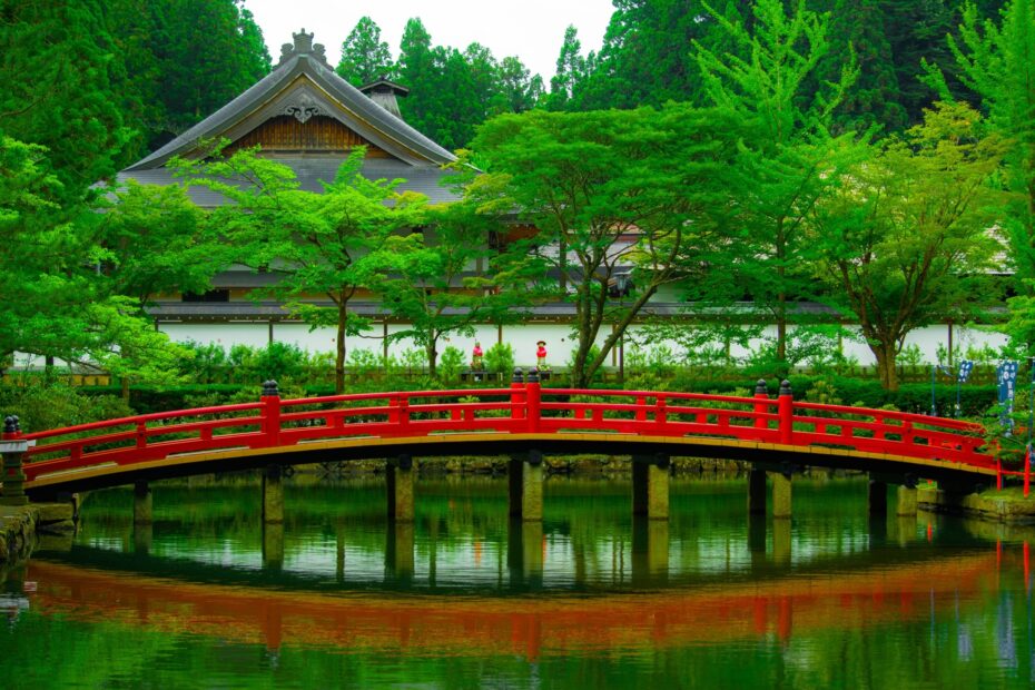 Korean Adoptees Worldwide Network